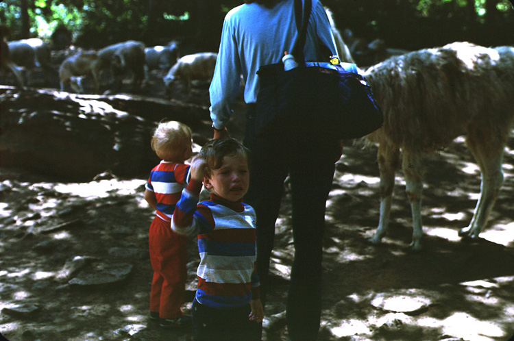 83-07-00, 01, Linda, Michael & Brian at Petting Zoo, PA