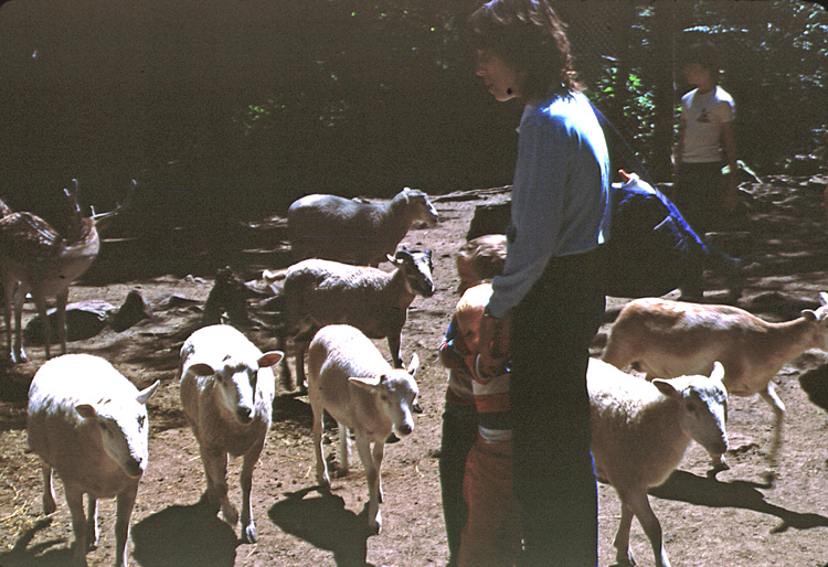 83-07-00, 02, Linda, Michael & Brian at Petting Zoo, PA