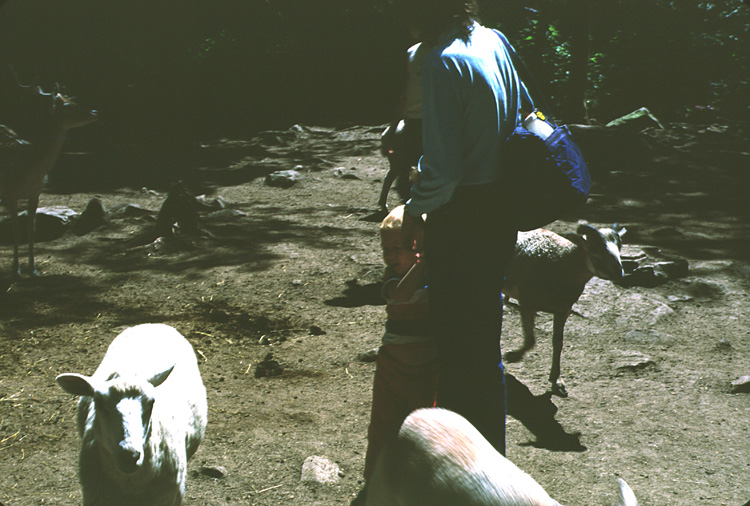 83-07-00, 03, Linda & Brian at Petting Zoo, PA