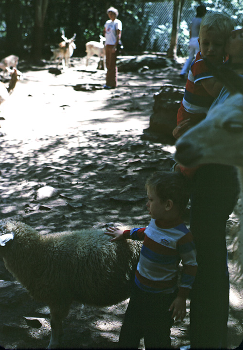 83-07-00, 10, Linda, Michael & Brian at Petting Zoo, PA