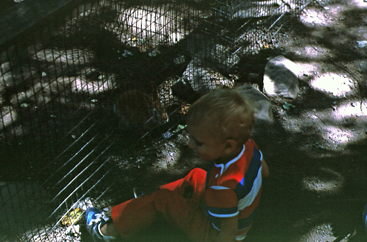 83-07-00, 11, Brian at Petting Zoo, PA