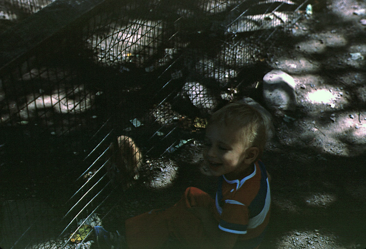 83-07-00, 13, Brian at Petting Zoo, PA