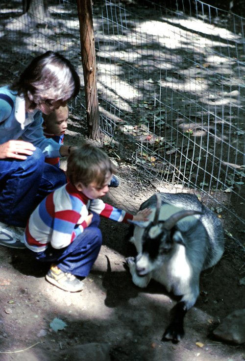 83-07-00, 15, Linda, Michael & Brian at Petting Zoo, PA