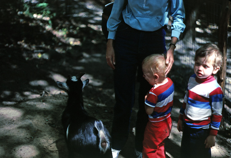 83-07-00, 18, Linda, Michael & Brian at Petting Zoo, PA