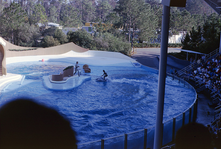 86-12-28, 12, Main Show at Sea World, Florida