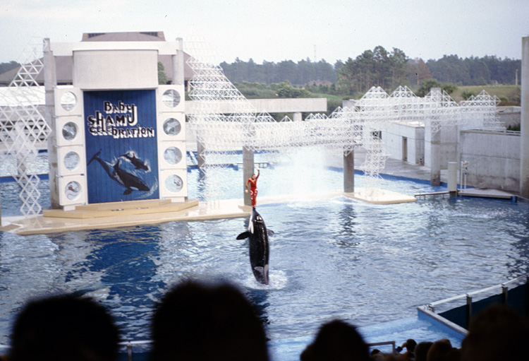 86-12-28, 16, Main Show at Sea World, Florida