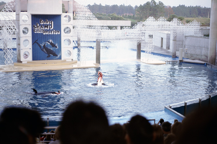 86-12-28, 18, Main Show at Sea World, Florida