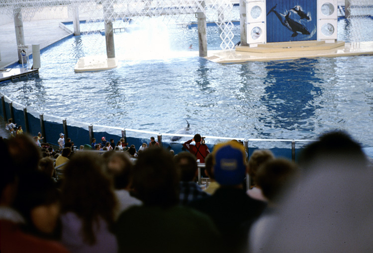 86-12-28, 19, Main Show at Sea World, Florida