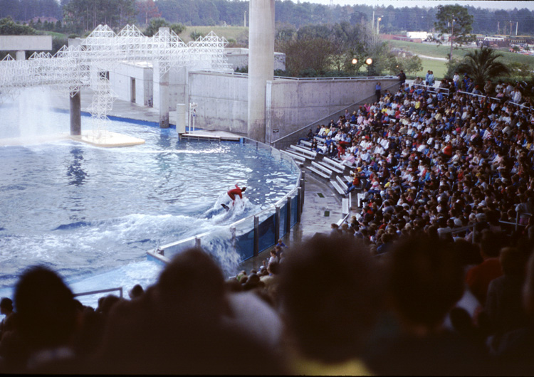 86-12-28, 22, Main Show at Sea World, Florida