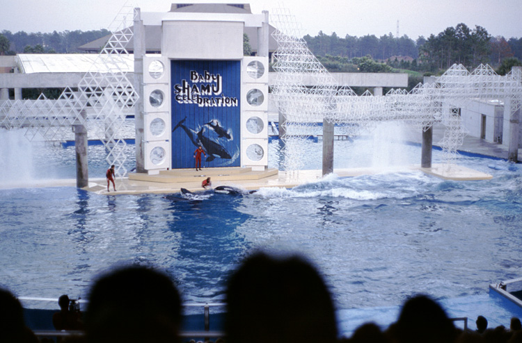 86-12-28, 23, Main Show at Sea World, Florida