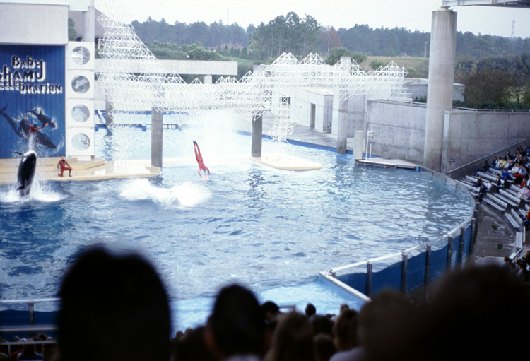 86-12-28, 24, Main Show at Sea World, Florida