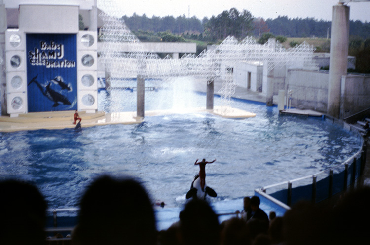 86-12-28, 25, Main Show at Sea World, Florida