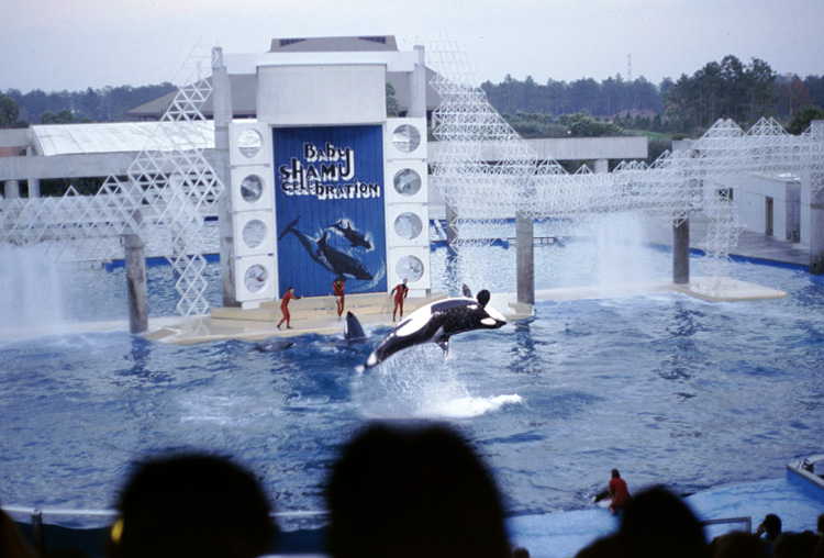 86-12-28, 26, Main Show at Sea World, Florida