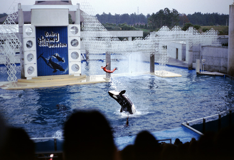 86-12-28, 27, Main Show at Sea World, Florida