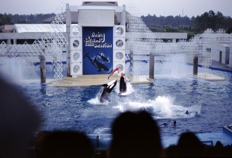 86-12-28, 28, Main Show at Sea World, Florida