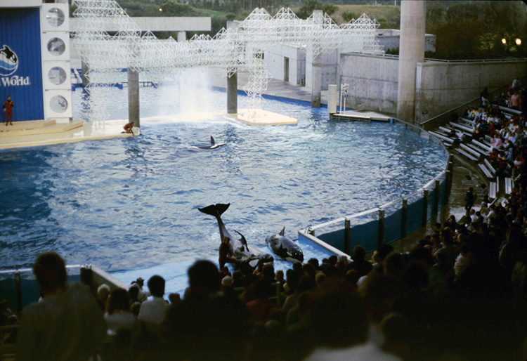 86-12-28, 30, Main Show at Sea World, Florida