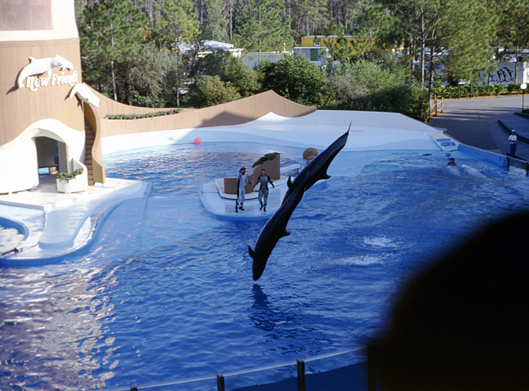 86-12-28, 31, Main Show at Sea World, Florida