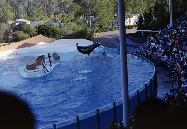 86-12-28, 32, Main Show at Sea World, Florida