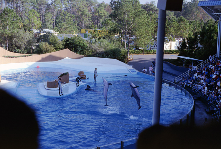 86-12-28, 34, Main Show at Sea World, Florida