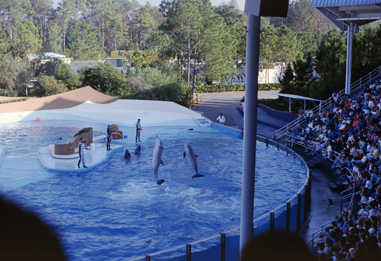 86-12-28, 35, Main Show at Sea World, Florida