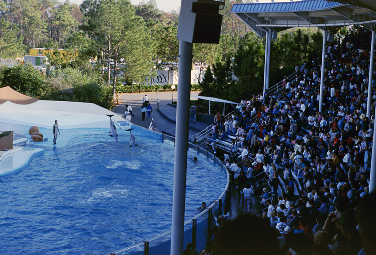 86-12-28, 37, Main Show at Sea World, Florida