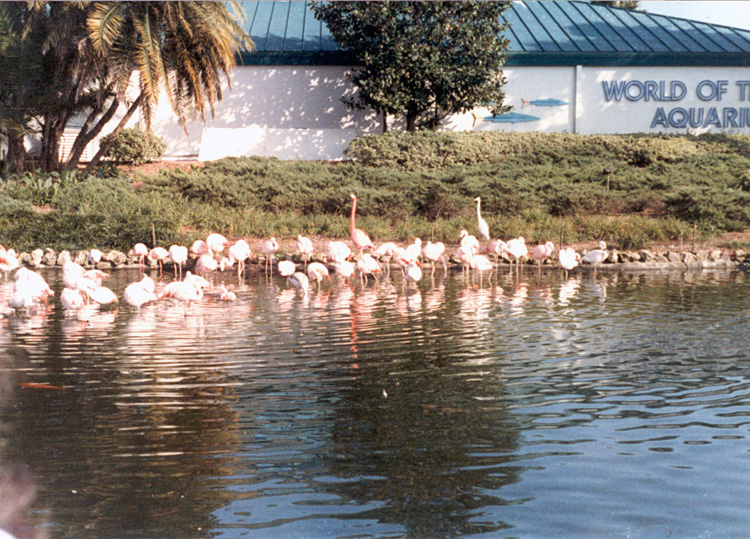 86-12-28, 43, Sea World in Florida