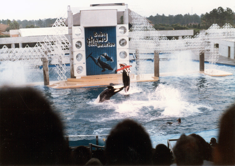 86-12-28, 48, Main Show at Sea World in Florida