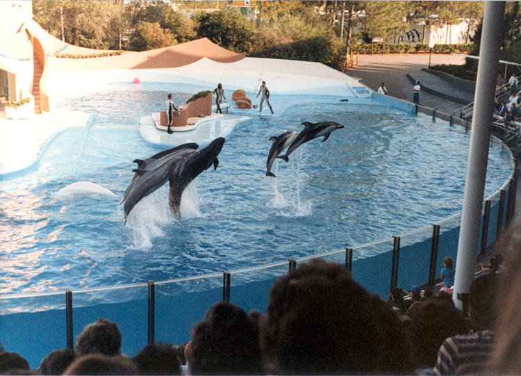 86-12-28, 49, Main Show at Sea World in Florida