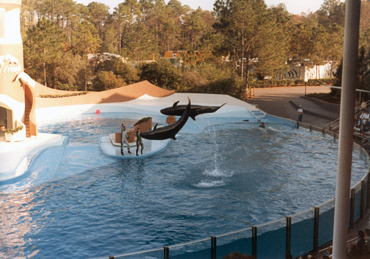 86-12-28, 50, Main Show at Sea World in Florida