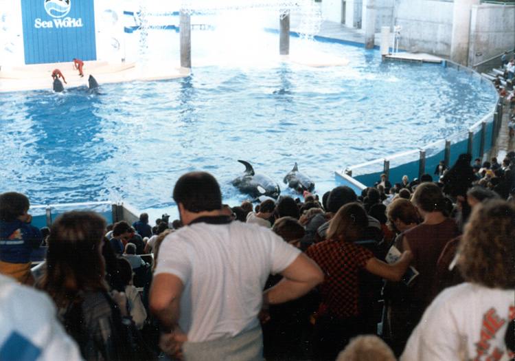 86-12-28, 54, Main Show at Sea World in Florida