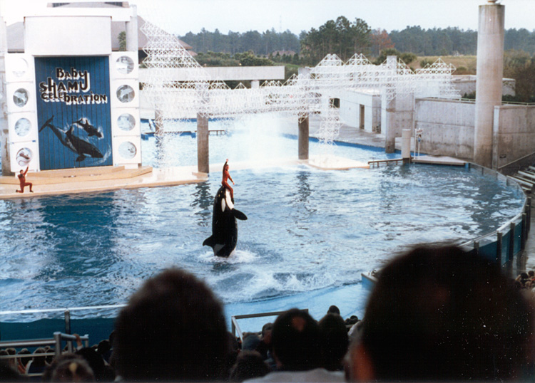 86-12-28, 55, Main Show at Sea World in Florida