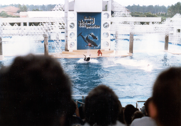 86-12-28, 57, Main Show at Sea World in Florida