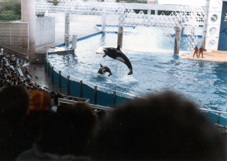 86-12-28, 58, Main Show at Sea World in Florida