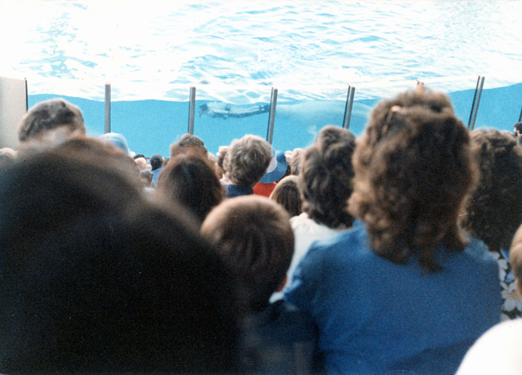 86-12-28, 59, Main Show at Sea World in Florida