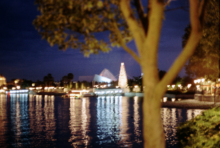 86-12-30, 20, Disney World in Florida