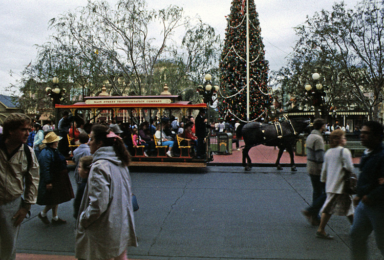 86-12-30, 23, Disney World in Florida