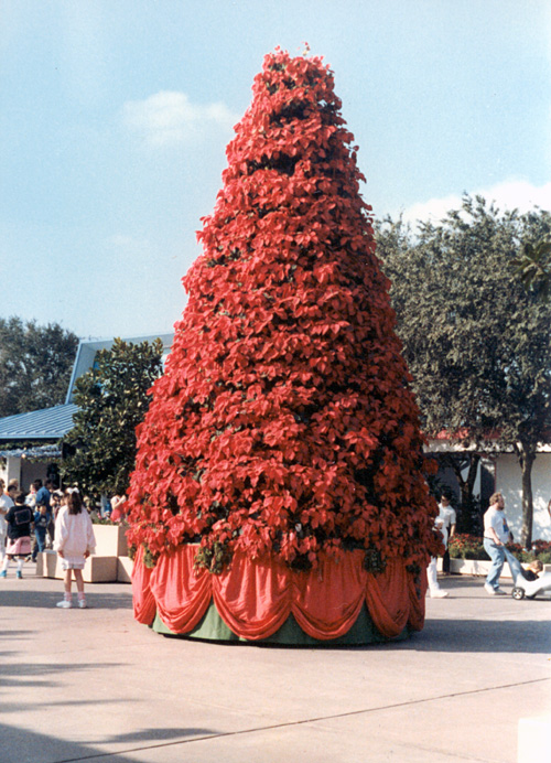 86-12-30, 69, Disney World in Florida