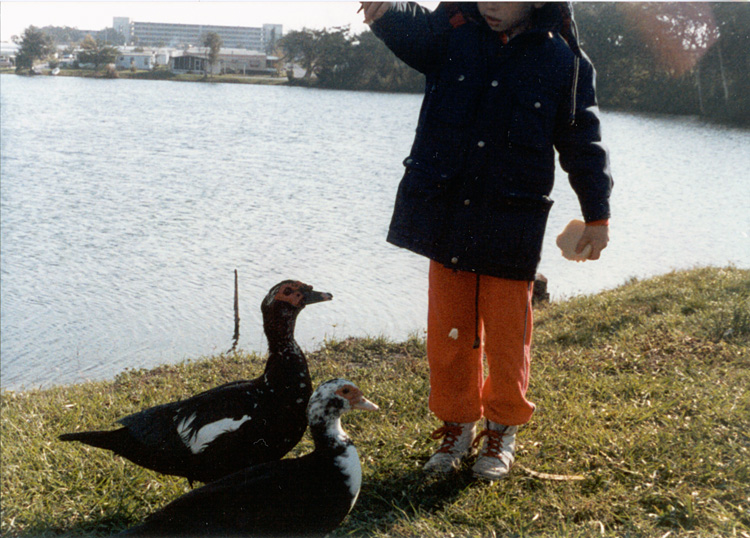 86-12-30, 80, Michael, Camp ground in Florida