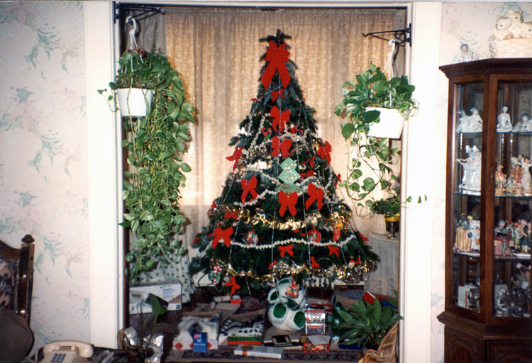 89-12-25, 14, Tree, Christmas, Belleville, NJ