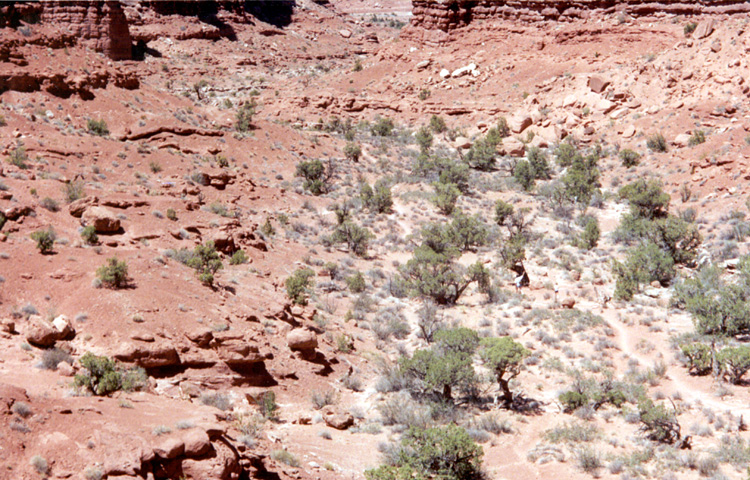 90-08-03, 09, Arches National Park. Utah