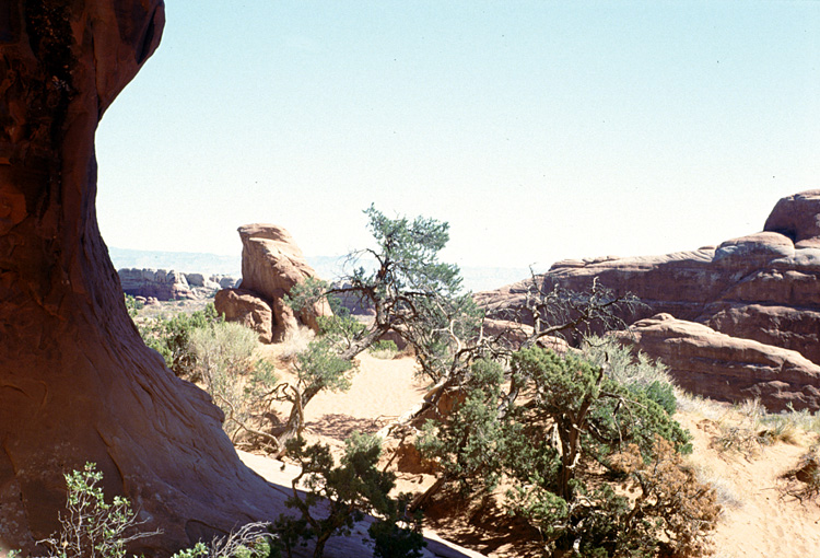 90-08-03, 41, Arches National Park. Utah