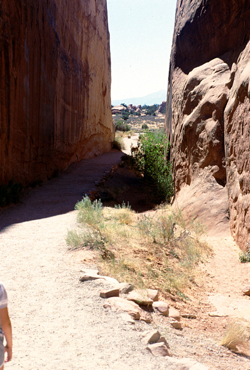 90-08-03, 42, Arches National Park. Utah