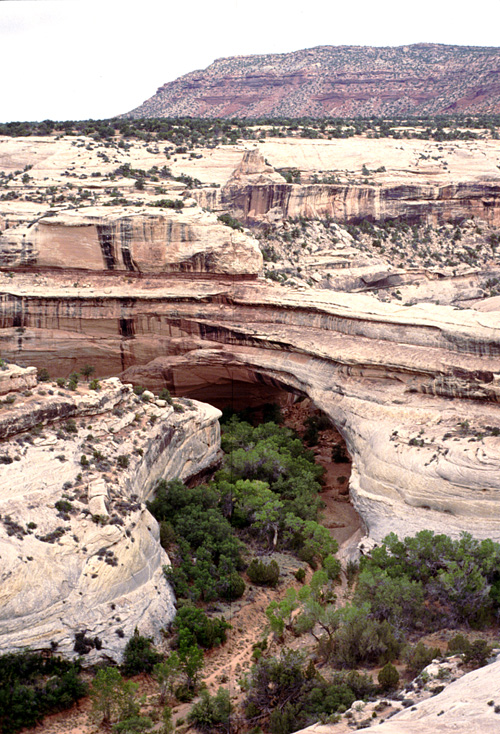 90-08-04, 07, Natural Bridges National Park. Utah