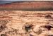 90-08-04, 00, Natural Bridges National Park, Utah