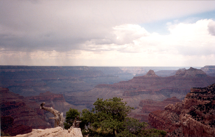 90-08-06, 15, Grand Canyon National Park. Arizona