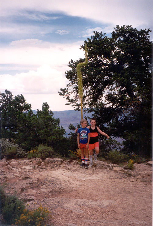 90-08-06, 20, Grand Canyon National Park. Arizona