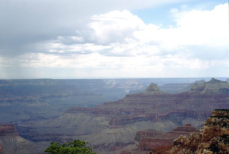 90-08-06, 30, Grand Canyon National Park. Arizona