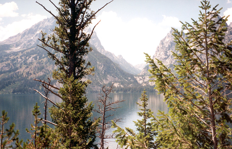 90-08-07, 02, Grand Teton National Park. Wyoming