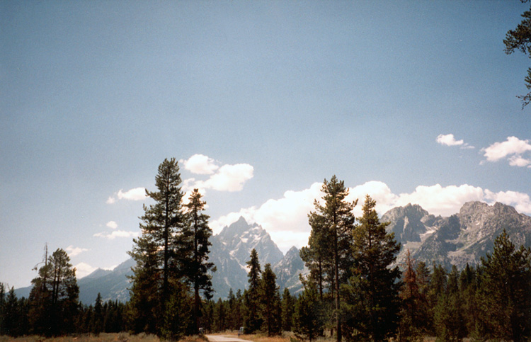 90-08-07, 05, Grand Teton National Park. Wyoming