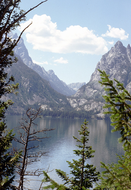 90-08-07, 19, Grand Teton National Park. Wyoming